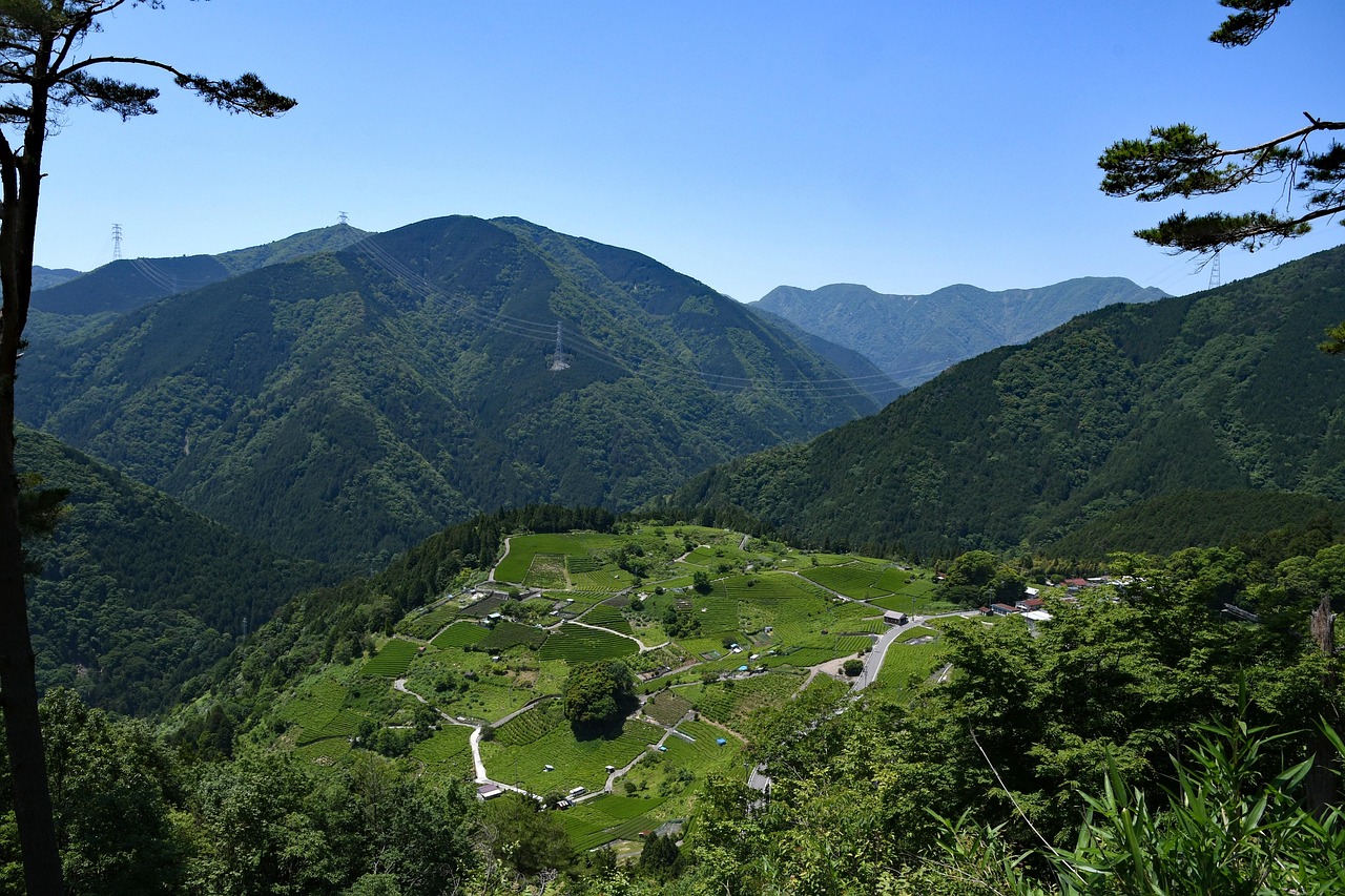 武功山金顶实时气温速报，最新温度信息更新