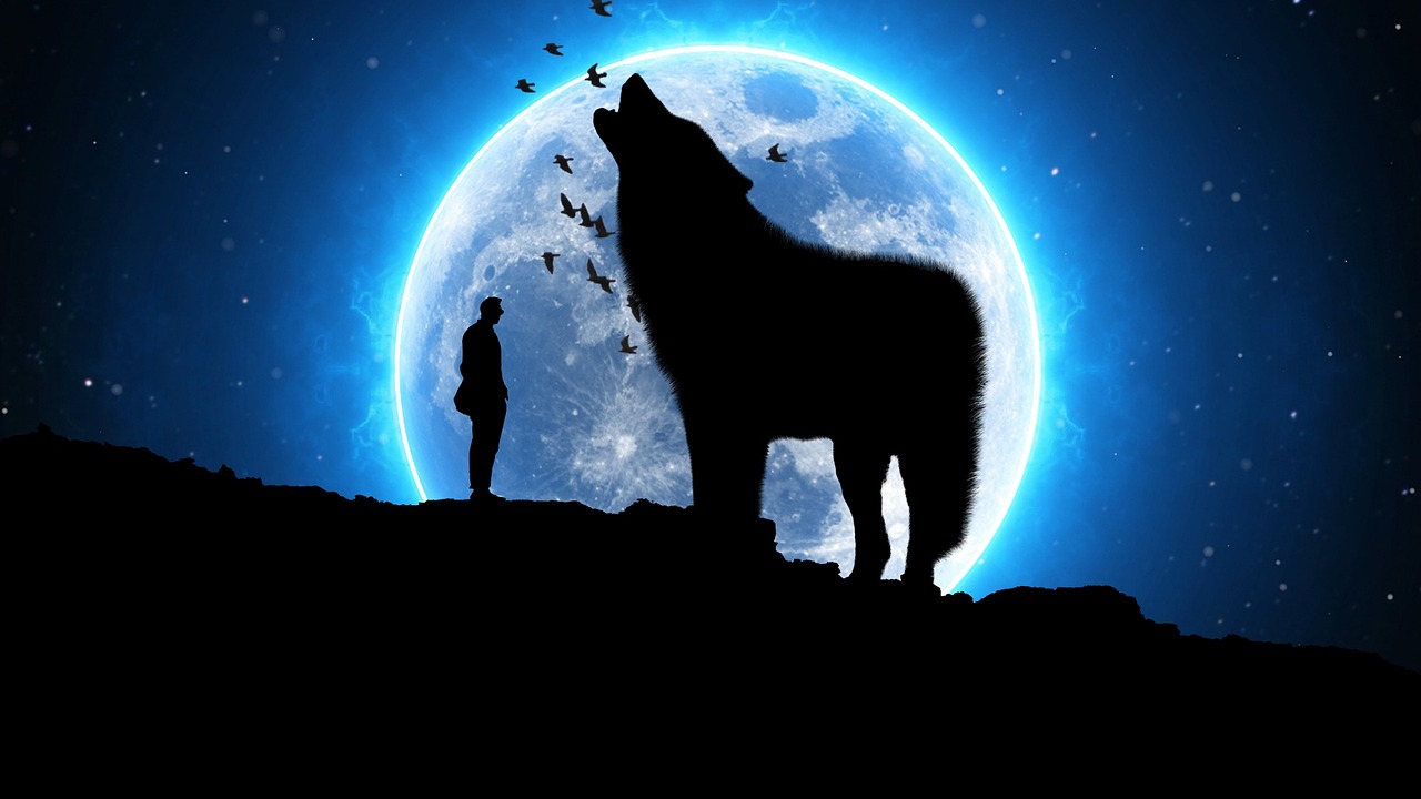 星辰之韵，启明星诗意之航的诗词篇章