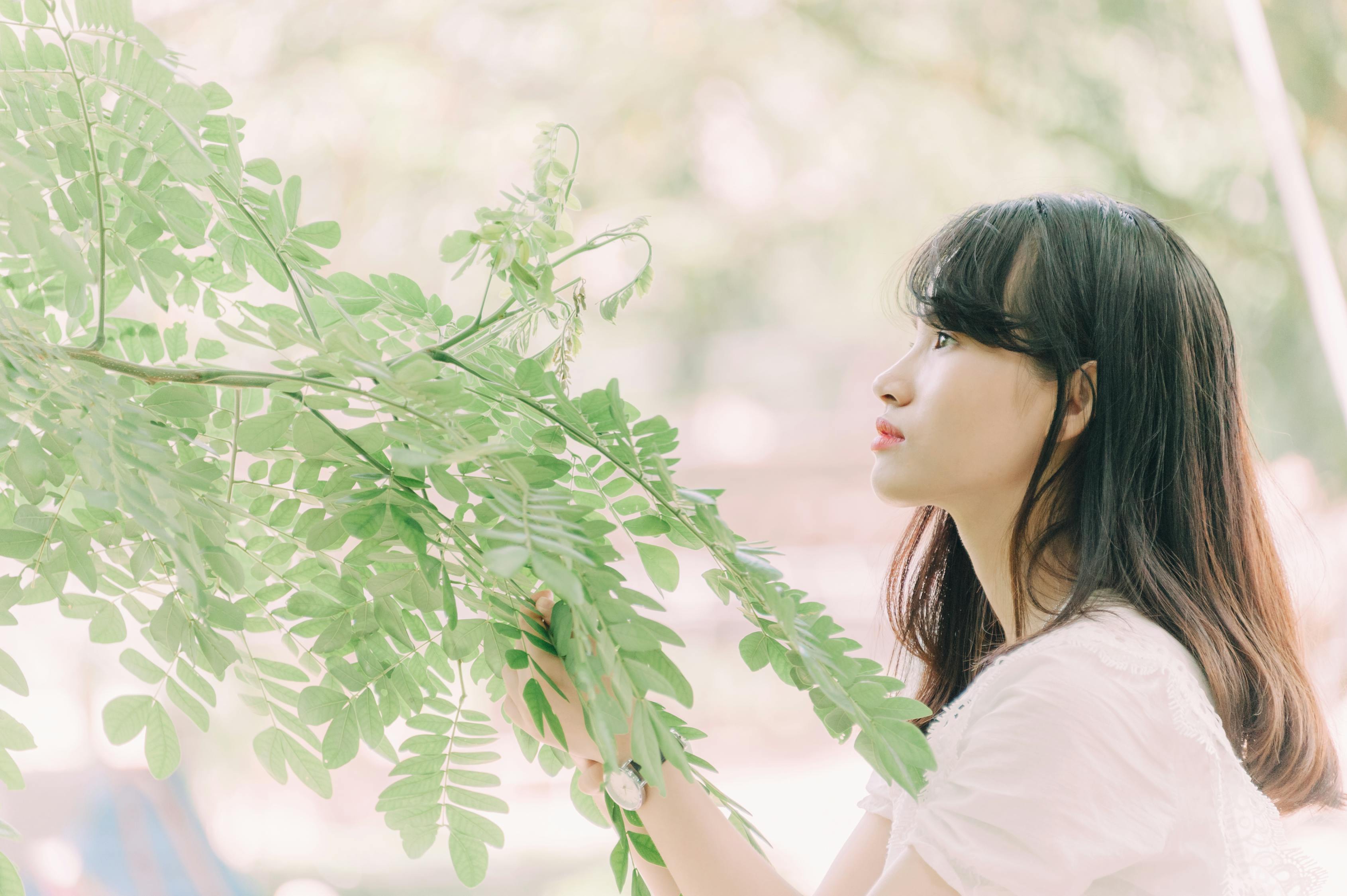密爱成婚新章节探秘，爱情与婚姻的纠缠纠葛