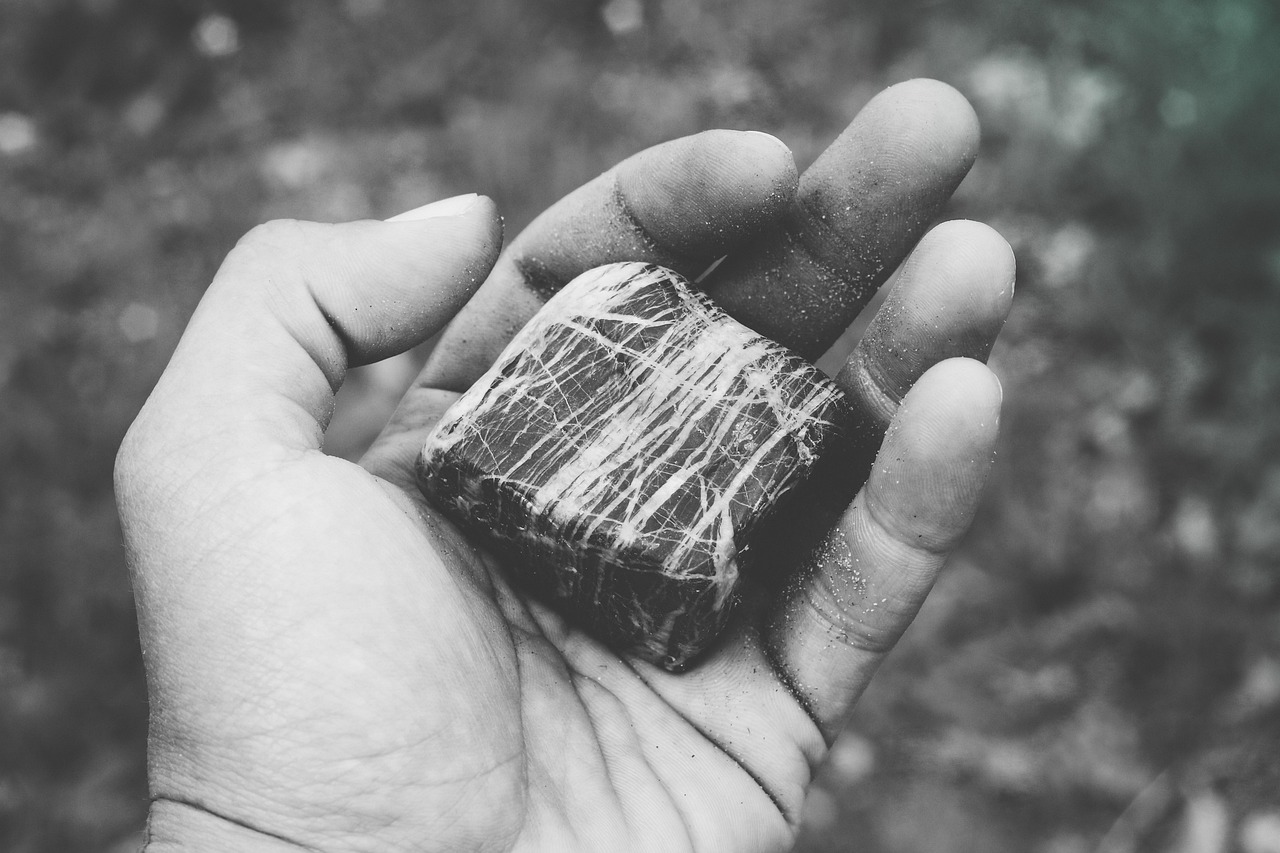 布币行情深度解析与展望