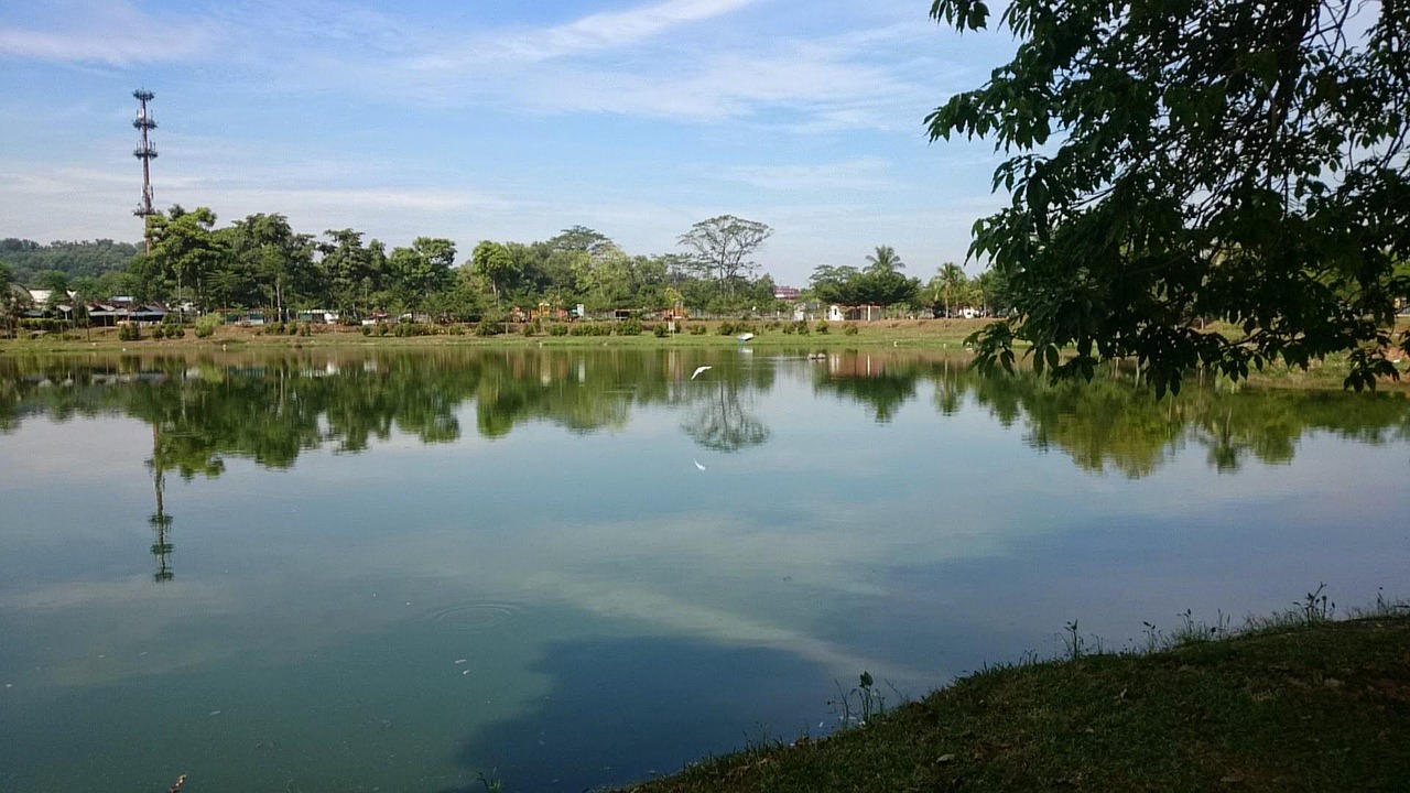 王四与泸州资讯，深度解读城市发展的脉搏动态
