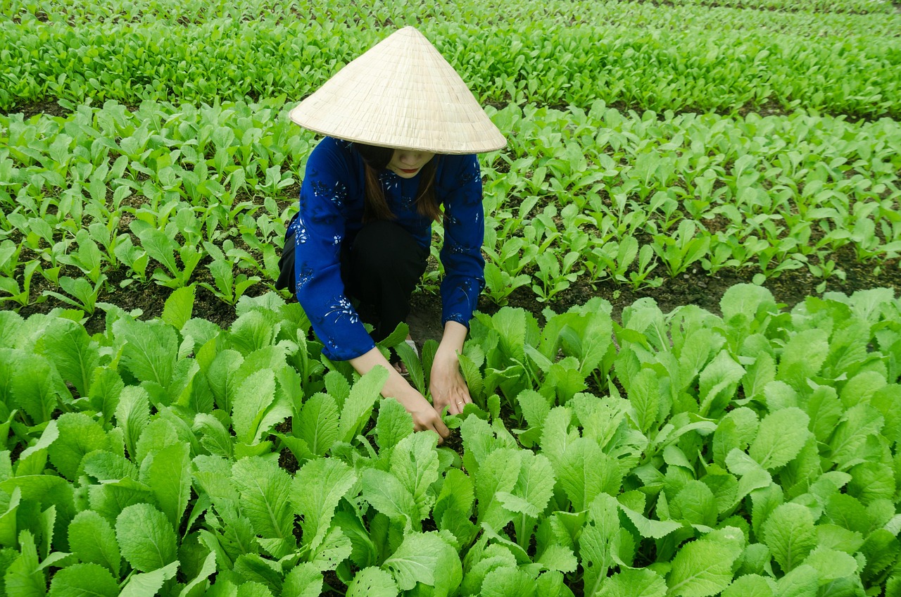 常州金坛薛埠职位招聘最新动态与发展机遇探讨