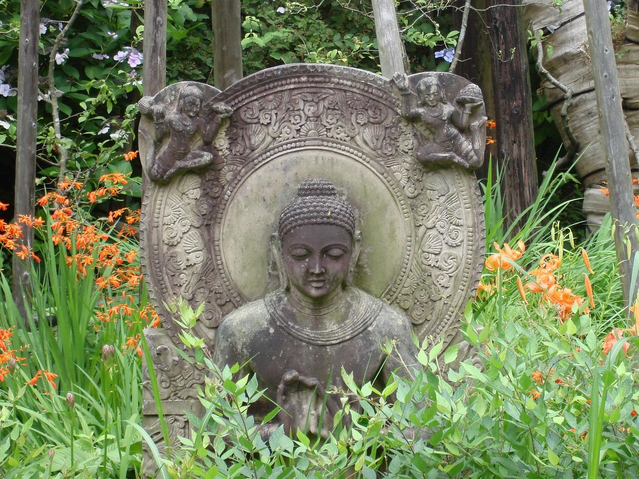 揭秘赝太子动态，背后的故事与深层启示