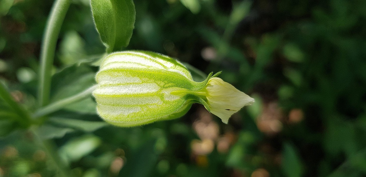 东土科技上市之路揭秘，时间节点、未来展望与最新动态