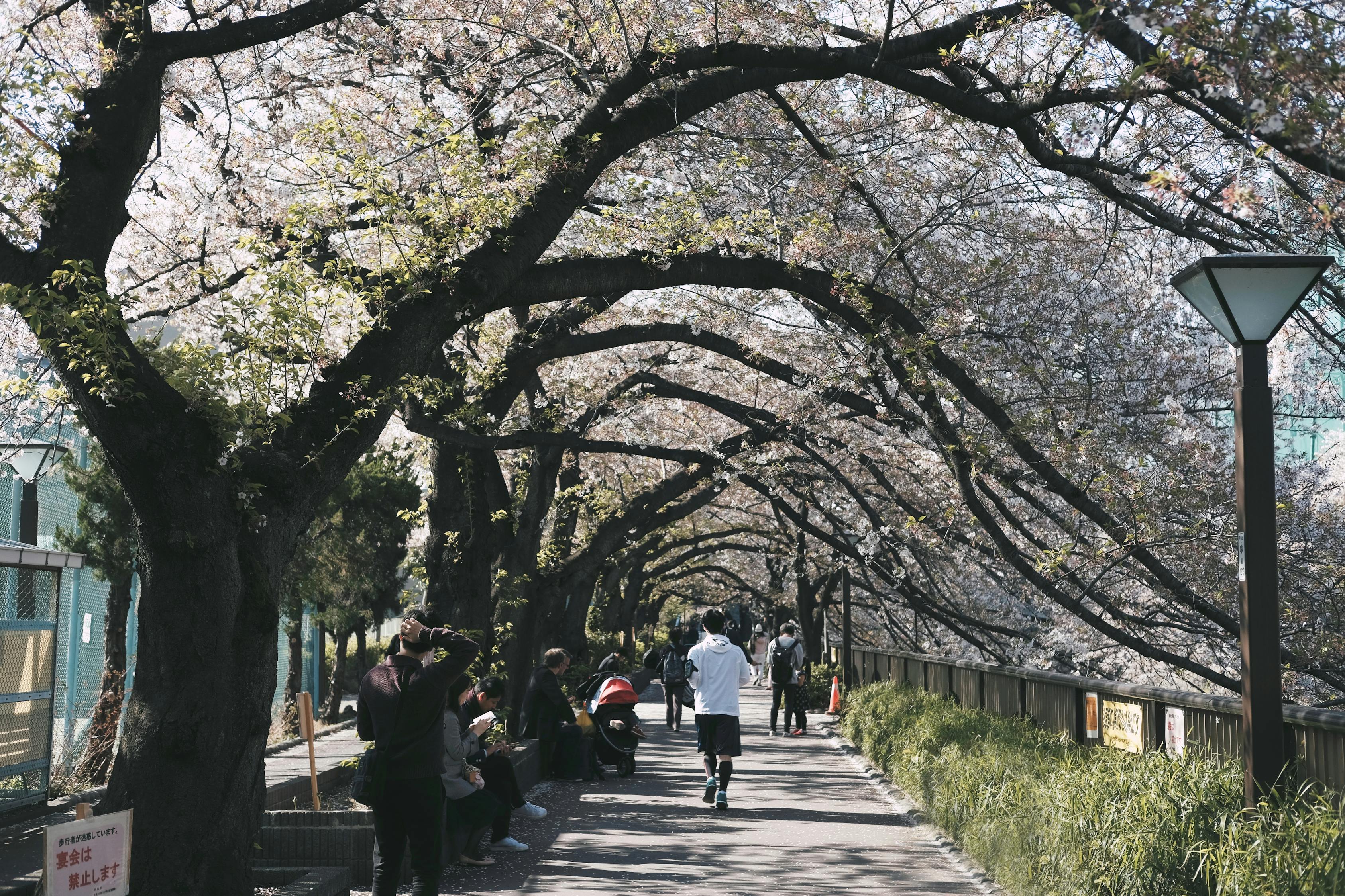 北京中山公园门票价格详解及攻略